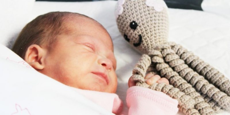 Los muñecos de moda “pulpitos solidarios” llegan a los niños prematuros del Hospital Universitario del Vinalopó