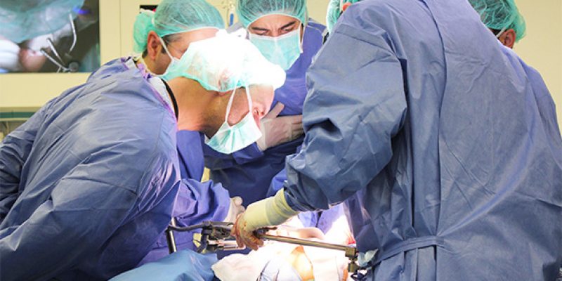 Cirujanos cardiovasculares se forman en cirugía abierta de aorta compleja en el Hospital del Vinalopó