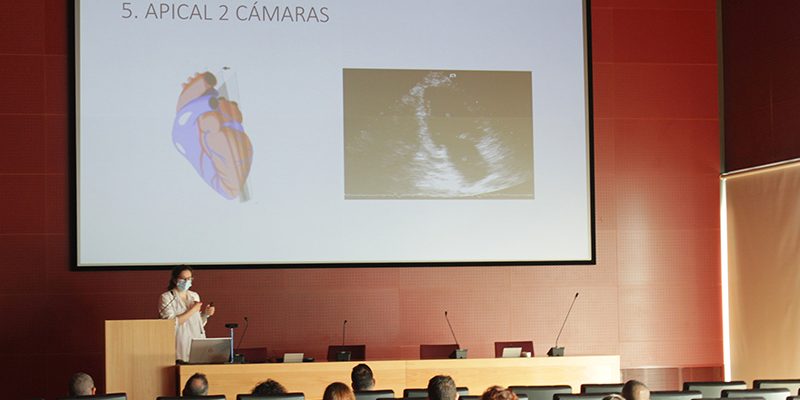Una veintena de profesionales externos se forman en cirugía cardíaca en el Hospital Universitario del Vinalopó